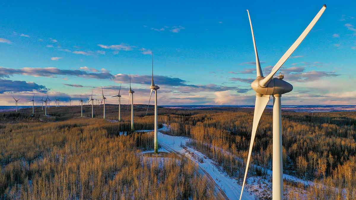 Dawson Creek & Grande Prairie portrait photos